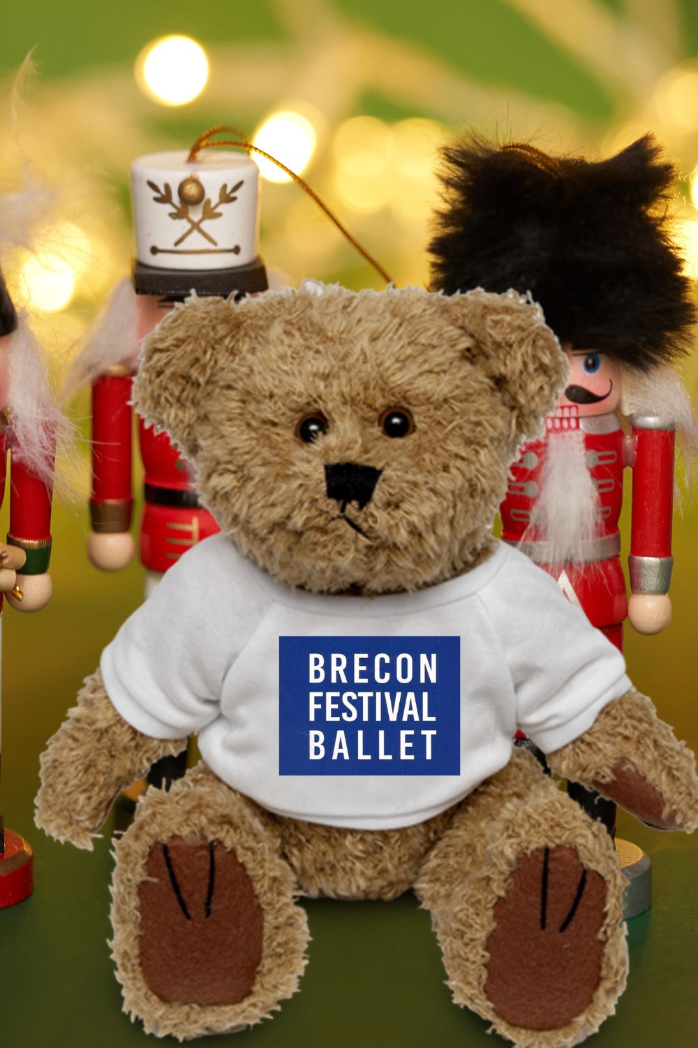 Brecon Festival Ballet – Plush Bear with Logo T-Shirt (20 cm)