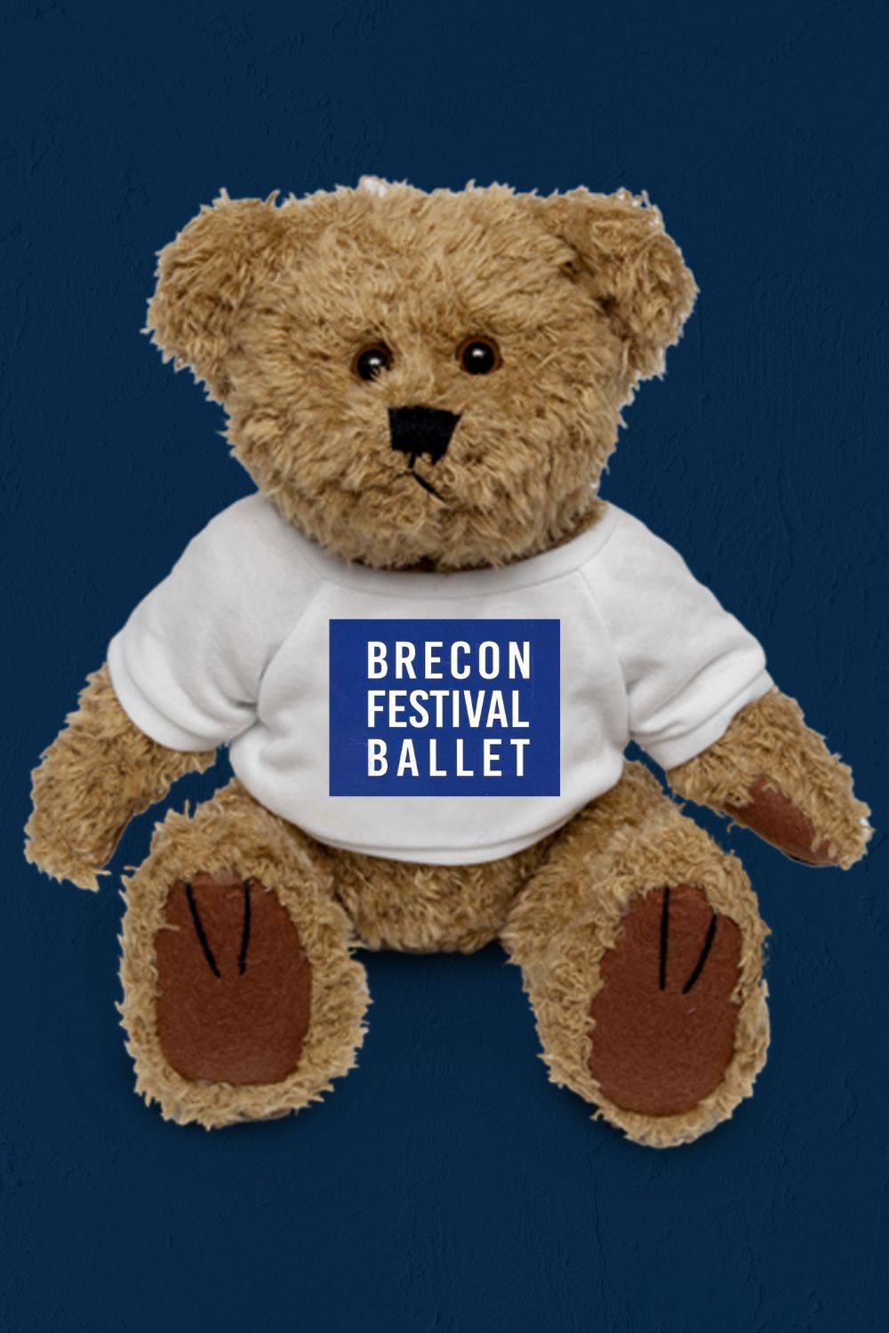 Brecon Festival Ballet – Plush Bear with Logo T-Shirt (20 cm)