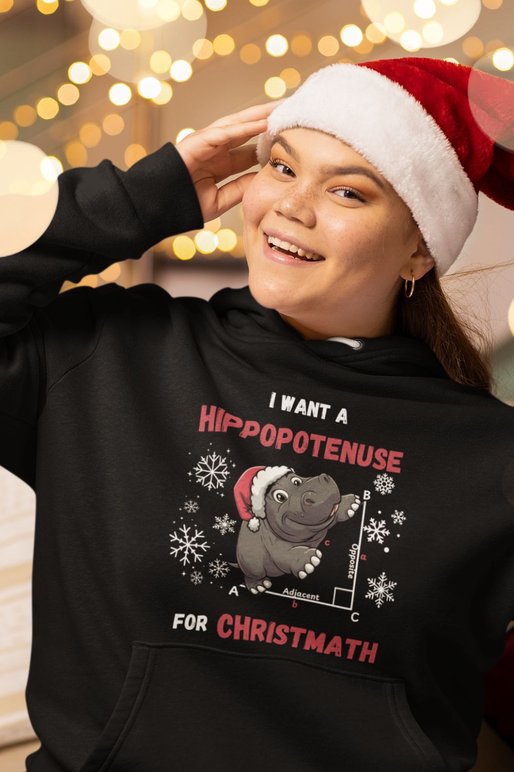 I Want a Hippopotenuse for Christmath Hoodie – Funny Maths Christmas Unisex Hoodie