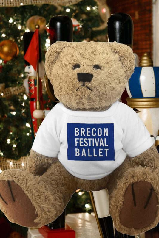 Brecon Festival Ballet – Plush Bear with Logo T-Shirt (20 cm)